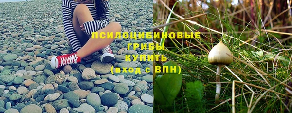 MESCALINE Михайловск