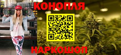 мяу мяу мука Кингисепп