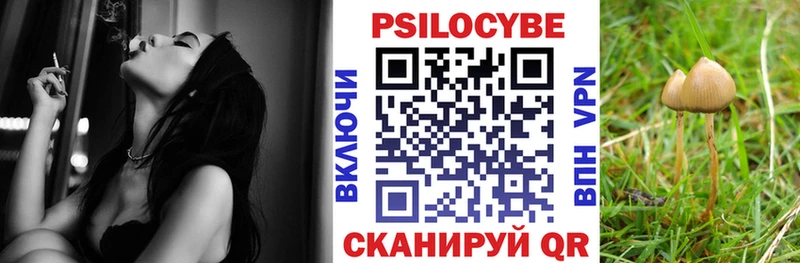 Псилоцибиновые грибы Psilocybe  мега зеркало  Томск 