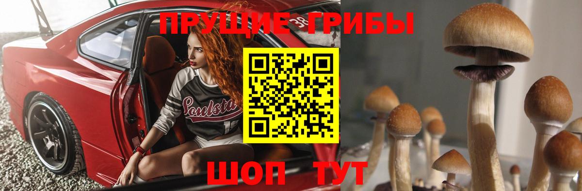 Псилоцибиновые грибы GOLDEN TEACHER Томск
